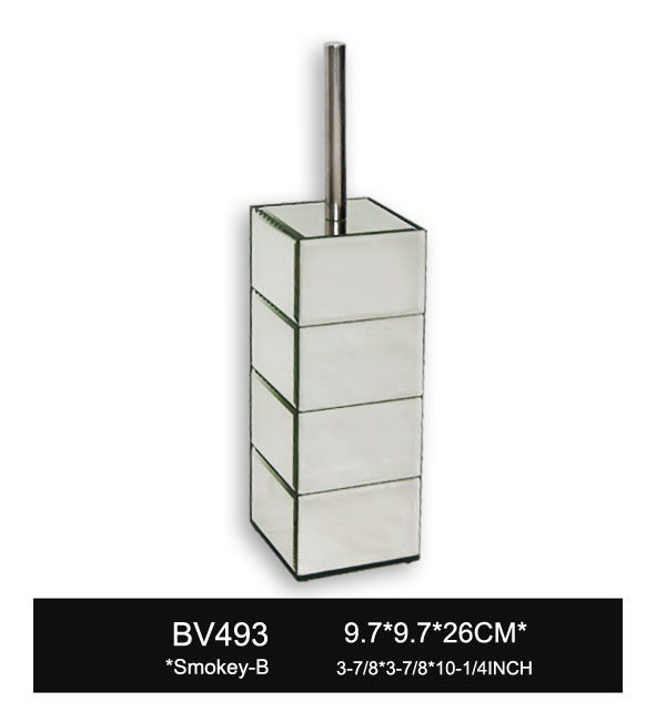 BV493